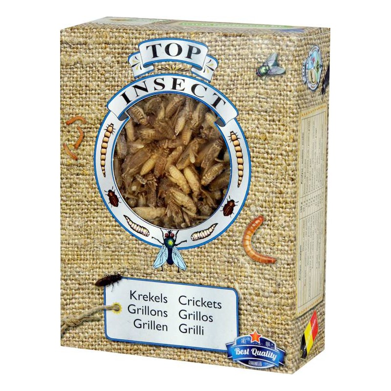 Grillons (insectes congelés) 400gr - Top Insect Grillons (insectes congelés) 400gr - Top Insect