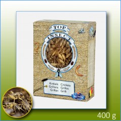 Grillons (insectes congelés) 400gr - Top Insect - 18,55 € - Nusect Top Insect - 5425034680052 - Ornibird SRL