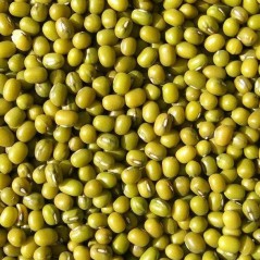 Katjang Idjoe ou Soja Vert au kg - Ornibird 003580/kg Beyers 3,75 € Ornibird