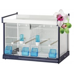 Batterie de cages Orchidea ART.64 avec système papier - Italgabbie à 437,09 € - Italgabbie - ITAL-ART64 - Italgabbie