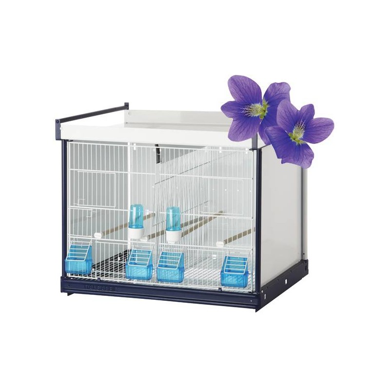 Batterie de cages Viola ART.67 - Italgabbie ITAL-ART67 Italgabbie 447,97 € Ornibird Batterie de cages Viola ART.67 - Italgabbie ITAL-ART67 Italgabbie 447,97 € Ornibird