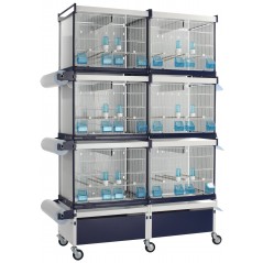 Batterie de cages Viola ART.67 avec système papier - Italgabbie - 451,71 € - Italgabbie -  - Ornibird SRL
