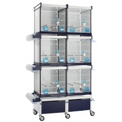 Batterie de cages Genziana ART.68 avec système papier - Italgabbie - 436,22 € - Italgabbie -  - Ornibird SRL
