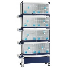 Batterie de cages Angelica ART.74 avec système papier - Italgabbie - 479,16 € - Italgabbie -  - Ornibird SRL