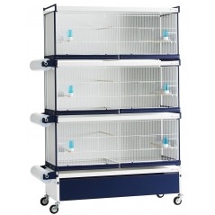 Batterie de cages Lilla ART.75 avec système papier - Italgabbie - 519,16 € - Italgabbie -  - Ornibird SRL