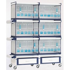 Batterie de cages Calla ART.86 avec système papier - Italgabbie - 490,16 € - Italgabbie -  - Ornibird SRL
