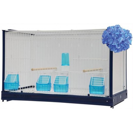Batterie de cages Ortensia ART.69 avec système papier - Italgabbie à 424,30 € - Italgabbie - ITAL-ART69 - Italgabbie