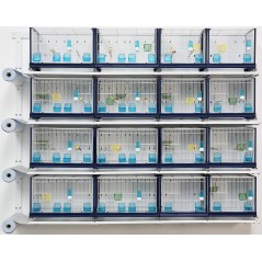 Batterie de cages Ortensia ART.69 avec système papier - Italgabbie - 424,30 € - Italgabbie -  - Ornibird SRL