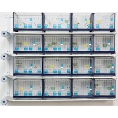 Batterie de cages Fiordaliso ART.70 avec système papier - Italgabbie - 414,46 € - Italgabbie -  - Ornibird SRL