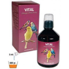 Vital oil blend Omega-500ml - Easyyem EASY-VITAL500 Easyyem 20,20 € Ornibird