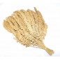 Millet jaune en grappes chinois 15kg