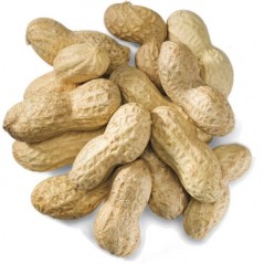 Unshelled peanuts per kg 103003110/kg Grizo 5,25 € Ornibird