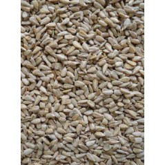 Sunflower husked rice in kg 103089250/kg Grizo 4,35 € Ornibird