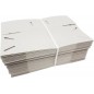 50 Boites en carton pour le transport de petits oiseaux 50 Boites en carton pour le transport de petits oiseaux