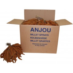 Millet Rouge en grappes Anjou 25kg 1181011 Kinlys 189,95 € Ornibird