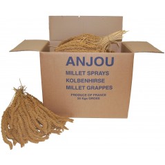 Millet Jaune en grappes Anjou 25kg 1143001 Kinlys 159,95 € Ornibird