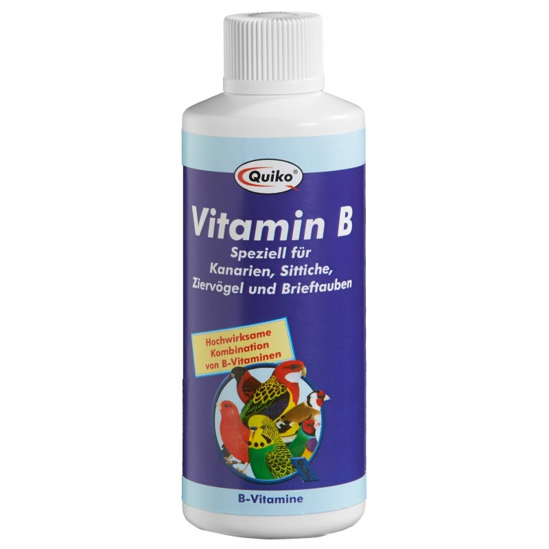 Quiko Vitamine B Liquide 100ml Quiko Vitamine B Liquide 100ml