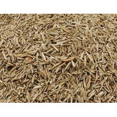 Graines d'herbe au kg - Grizo 103030100/kg Grizo 4,10 € Ornibird