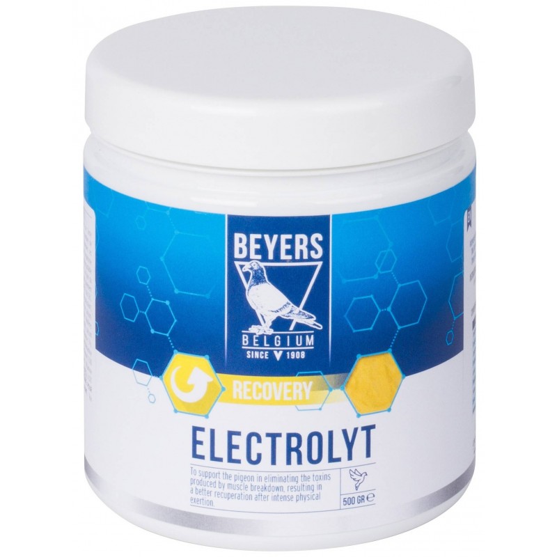Elektrolyt (récupération après le vol) 500gr - Beyers Plus