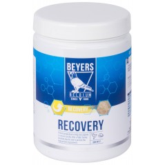 Recovery (préparation à base de protéines) 600gr - Beyers Plus à 26,20 € - Beyers Plus - 023148 - Beyers Plus
