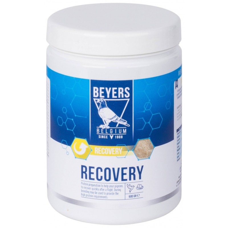 Recovery (préparation à base de protéines) 600gr - Beyers Plus 023148 Beyers Plus 23,20 € Ornibird