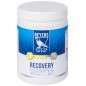 Recovery (préparation à base de protéines) 600gr - Beyers Plus Recovery (préparation à base de protéines) 600gr - Beyers Plus