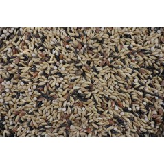ORNIBIRD - CANARIES PRO DIGEST 20kg, mixing high quality for the canaries 700126 Deli Nature 39,95 € Ornibird