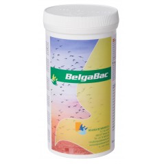 Belgabac 300gr - Belgica De Weerd 60029 Belgica De Weerd 20,45 € Ornibird