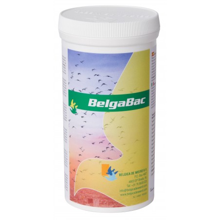 Belgabac 300gr - Belgica De Weerd à 25,10 € - Belgica De Weerd - 60029 - Belgica de Weerd