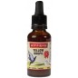 Yellow Drops, gouttes jaunes pour une gorge propre 30ml - Winners Yellow Drops, gouttes jaunes pour une gorge propre 30ml - Winners