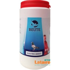 Beute Electro Boost (electrolyte, recovery) 500gr - Beute BEU7982 Beute 26,65 € Ornibird