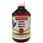 Huile d'ail 500ml - Winners Huile d'ail 500ml - Winners