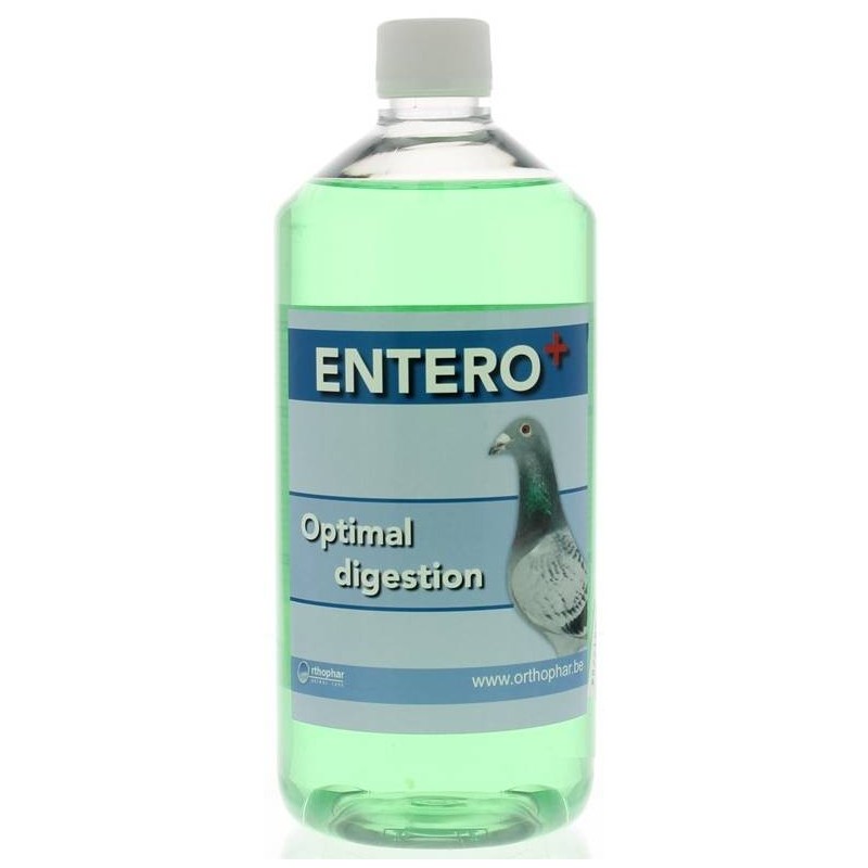 Entero (acid - digestion) 1L - Orthophar Pigeon - Pharmacy Finney & Dr. Vanneste 31003 Orthophar - Pharmacie Flament & Dr. Va...