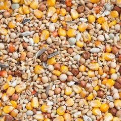 Mue Budget 25kg - Beyers à 18,30 € - Beyers - 004435 - Mélanges Budget
