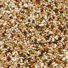 Elevage Soja Cribbs 25kg - Beyers 004424 Beyers 30,90 € Ornibird