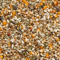 Elevage Soja Cribbs 25kg - Beyers 004488 Beyers 30,40 € Ornibird