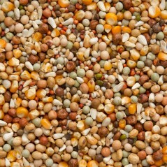 Premium Super Elevage 20kg - Beyers à 22,15 € - Beyers - 004414 - Mélanges Premium