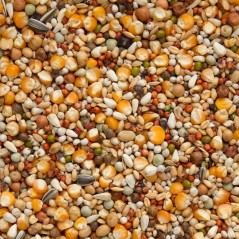 Premium Super Mue 20kg - Beyers à 22,15 € - Beyers - 004433 - Mélanges Premium