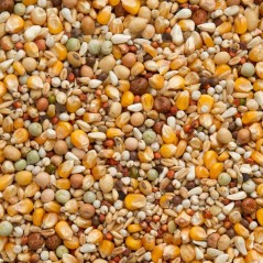 Premium Super Veuvage 20kg - Beyers à 22,15 € - Beyers - 004415 - Mélanges Premium