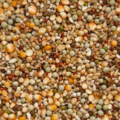 Premium Brilliant 20kg - Beyers à 26,50 € - Beyers - 004400 - Mélanges Premium