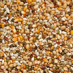 Premium Jan Keen Superlight 20kg - Beyers à 22,15 € - Beyers - 004471 - Mélanges Premium