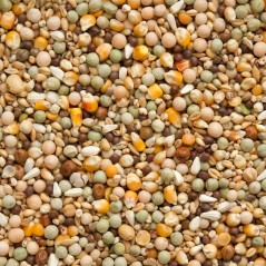 7/40 Elite Enzymix Modern System Pigeonneaux Sevrage 20kg - Beyers à 22,70 € - Beyers - 070040 - Mélanges Beyers Elite