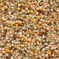7/40 Elite Enzymix Modern System Pigeonneaux Sevrage 20kg - Beyers 7/40 Elite Enzymix Modern System Pigeonneaux Sevrage 20kg - Beyers