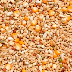 7/48 Elite Enzymix Modern System Recup 20kg - Beyers à 22,70 € - Beyers - 070048 - Mélanges Beyers Elite