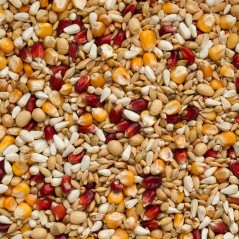 Original Enzymix Relax 20kg - Beyers - 21,60 € - Beyers - 5411860815454 - Ornibird SRL