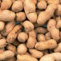 Arachides Non-Pelée 10kg -Duvo+