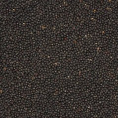 Navette Canada 20kg - Duvo - 28,50 € - Duvo + - 5414365002398 - Ornibird SRL