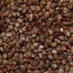 Sarrasin Strié Extra 20kg - Duvo+ - 31,75 € - Duvo + - 8711304648707 - Ornibird SRL
