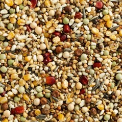 Mélange Finesse Mue 20kg - Natural à 22,25 € - Natural - 105218720 - Finesse