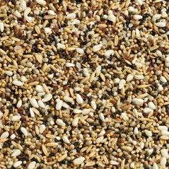 Mélange Special Petites Graines 20kg - Natural 100517720 Natural 26,65 € Ornibird